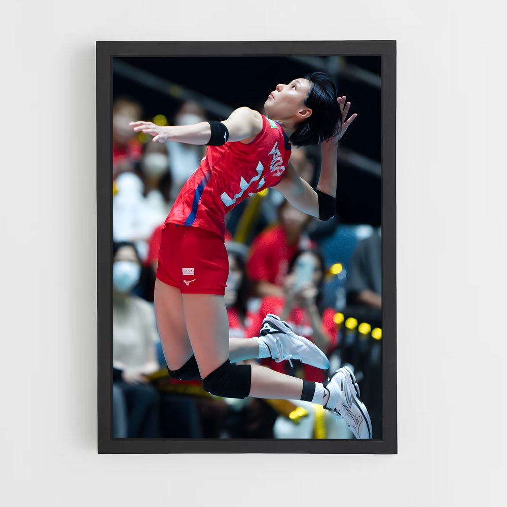 Poster Volleyball de league internationaux (vue 2)